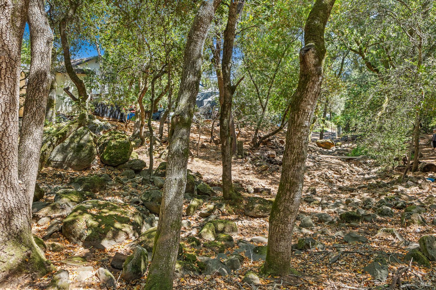 796 Los Olivos Road