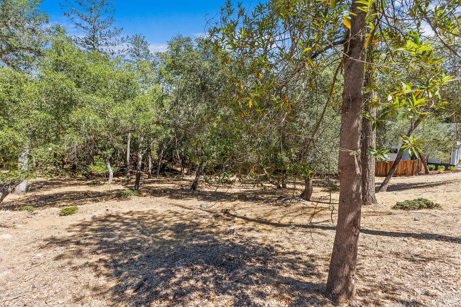 796 Los Olivos Road