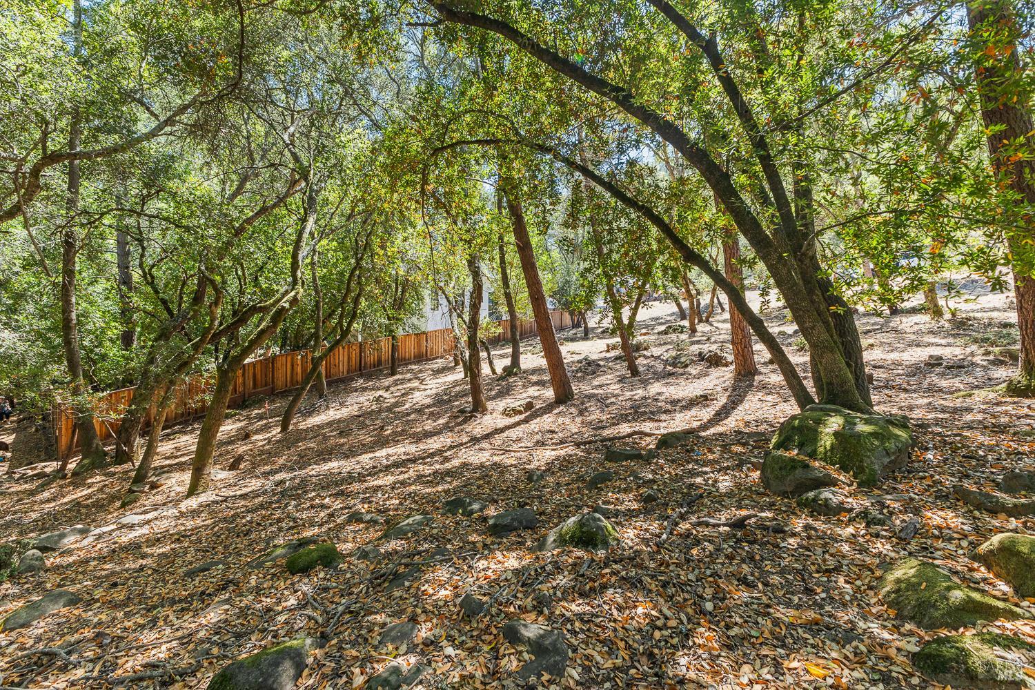 796 Los Olivos Road