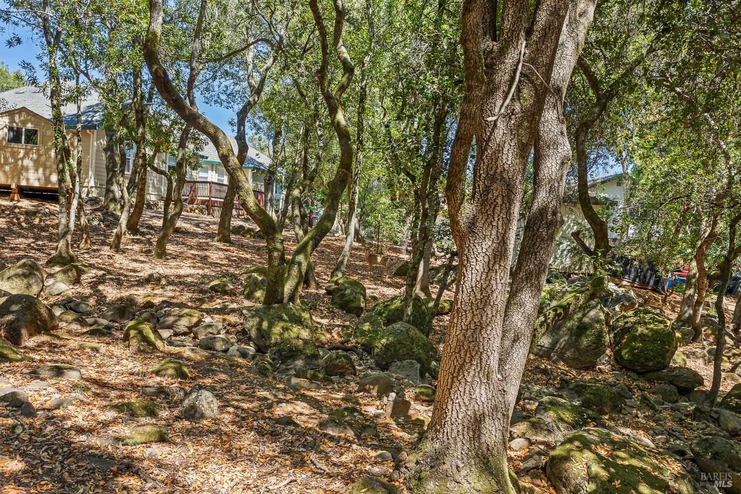 796 Los Olivos Road