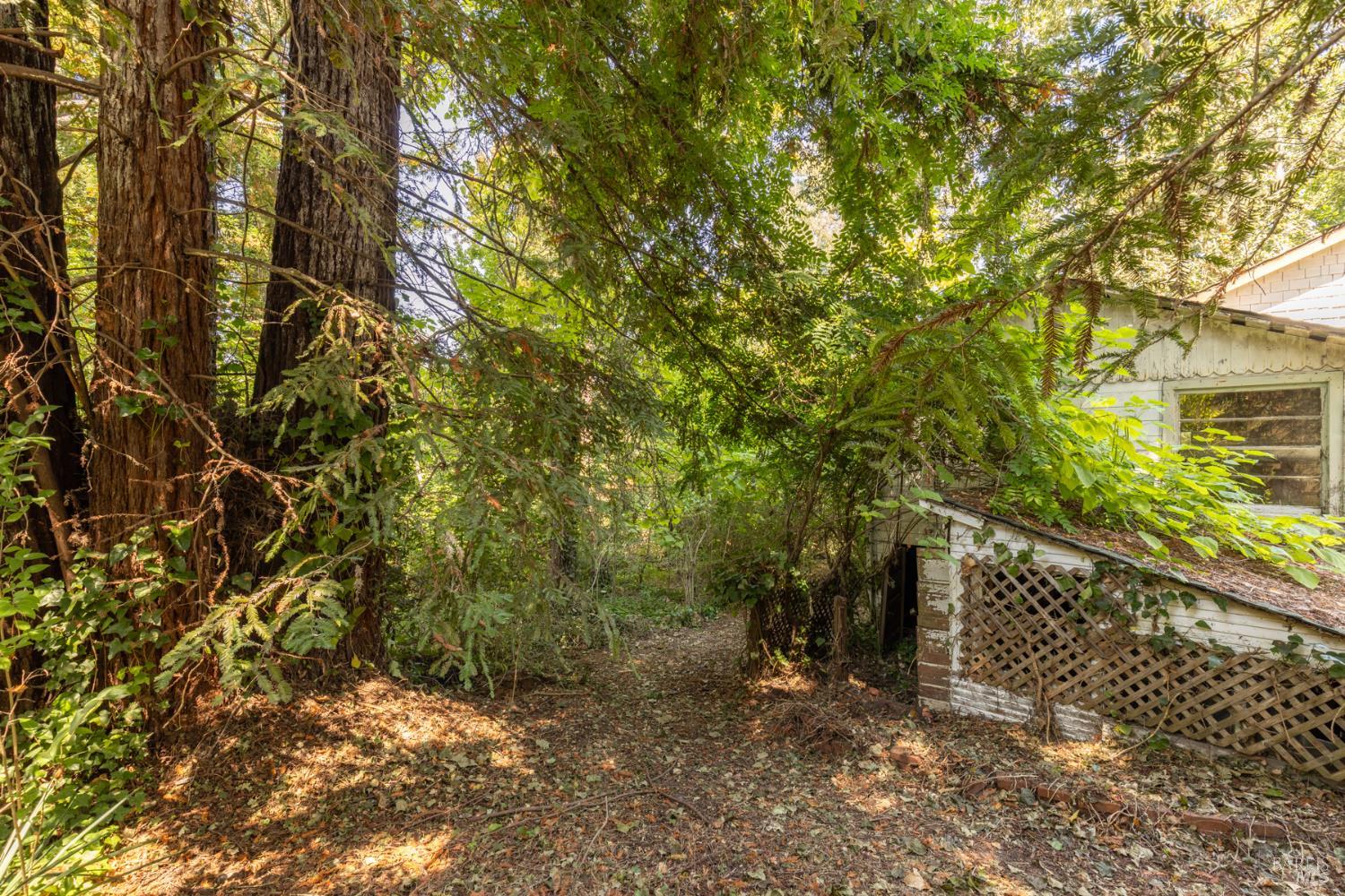 8781 Graton Road