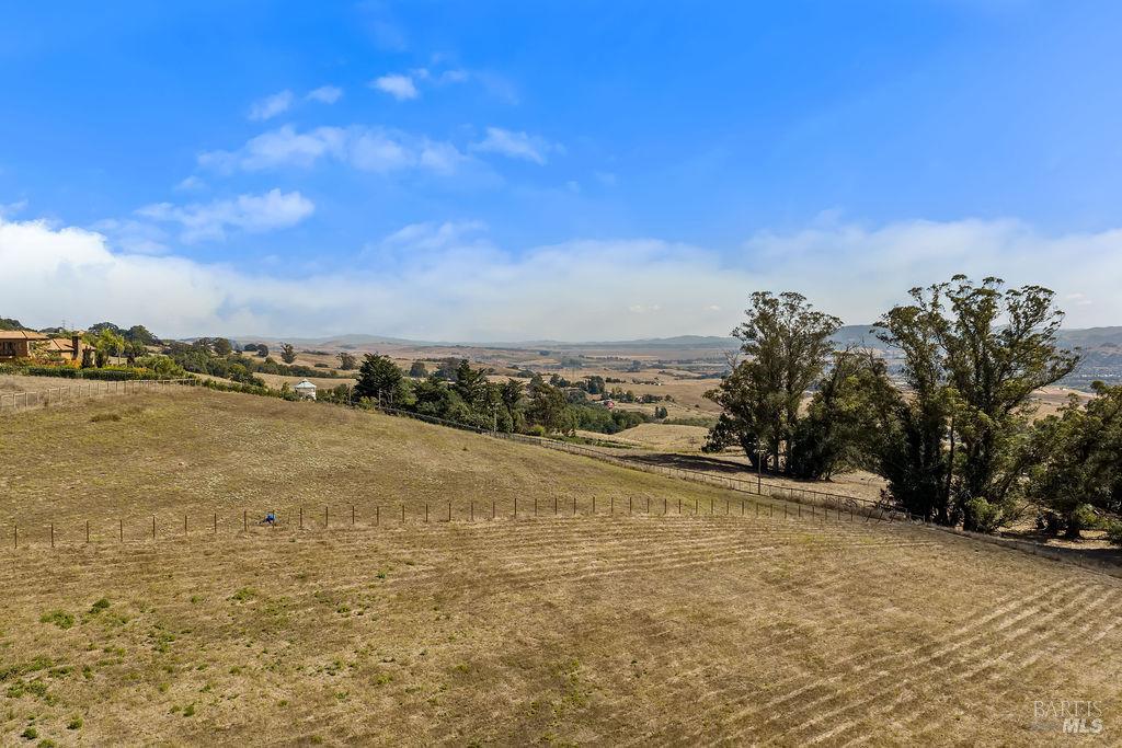 4663 Hillsborough Drive