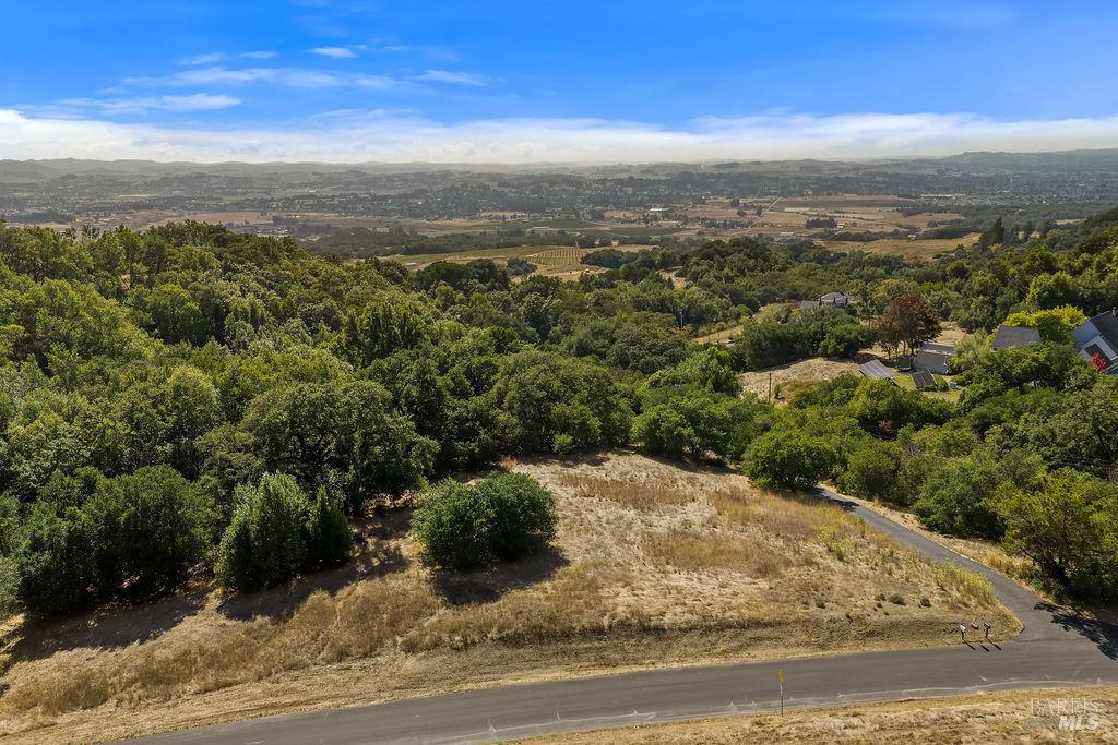 4663 Hillsborough Drive