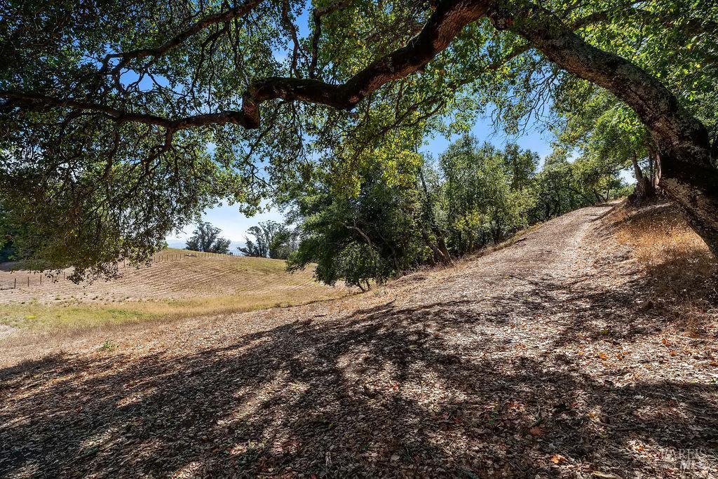 4663 Hillsborough Drive