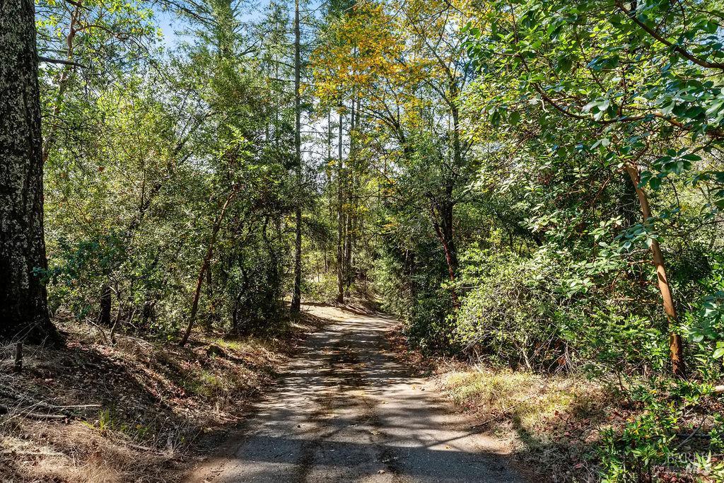3360 Calistoga Road