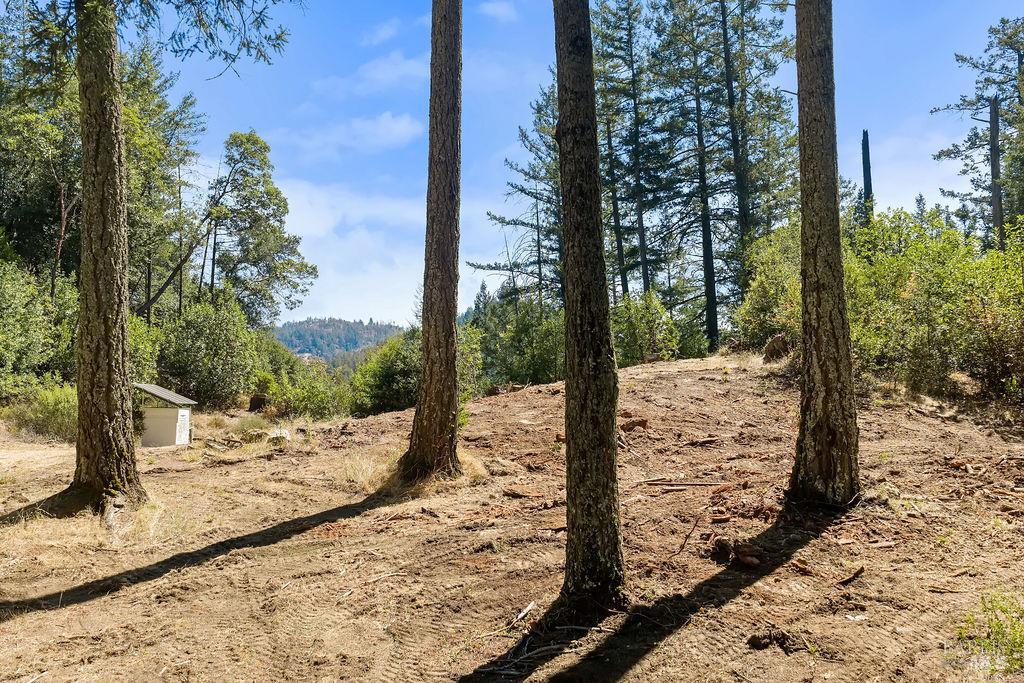 3360 Calistoga Road