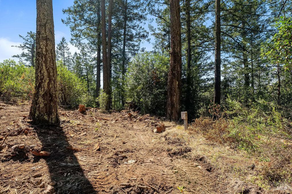 3360 Calistoga Road