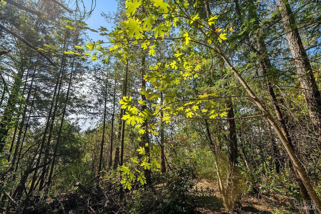 3360 Calistoga Road