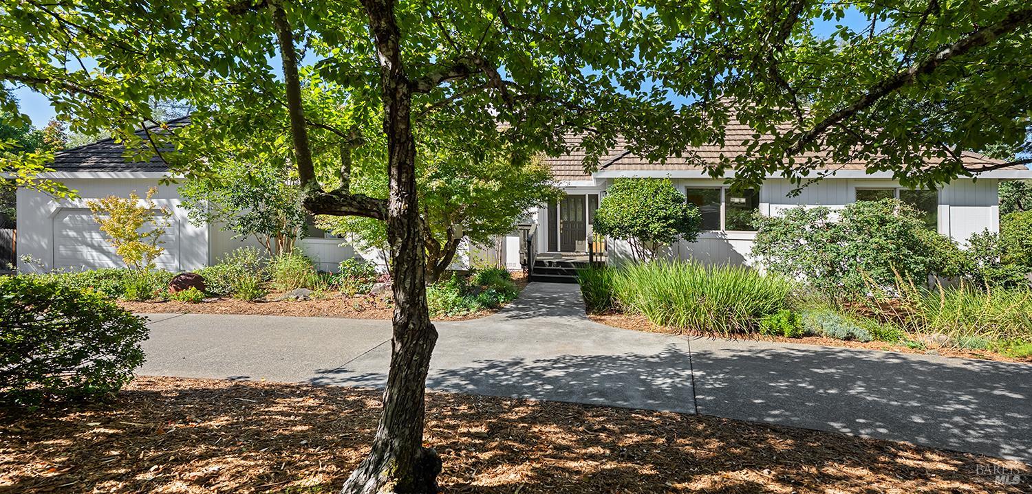 231 Zinfandel Road
