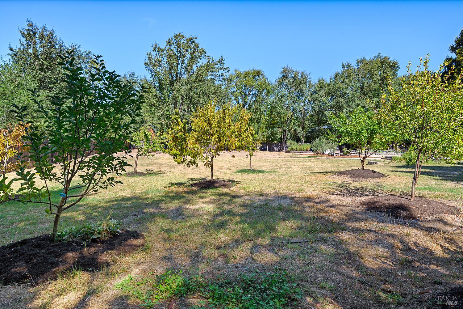 231 Zinfandel Road