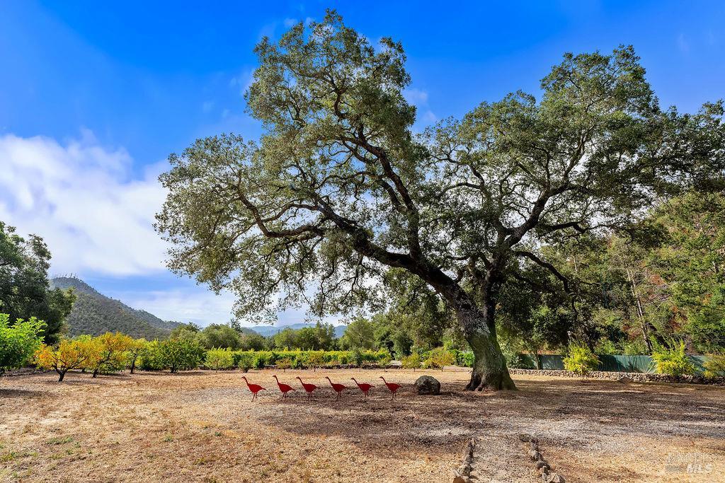321 Dutch Henry Canyon Road