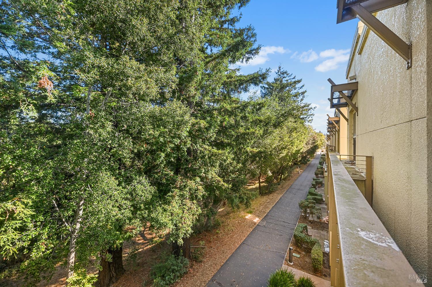 204 City Center Drive