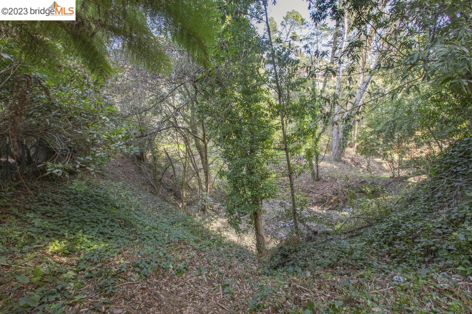 20 Ascot Place
