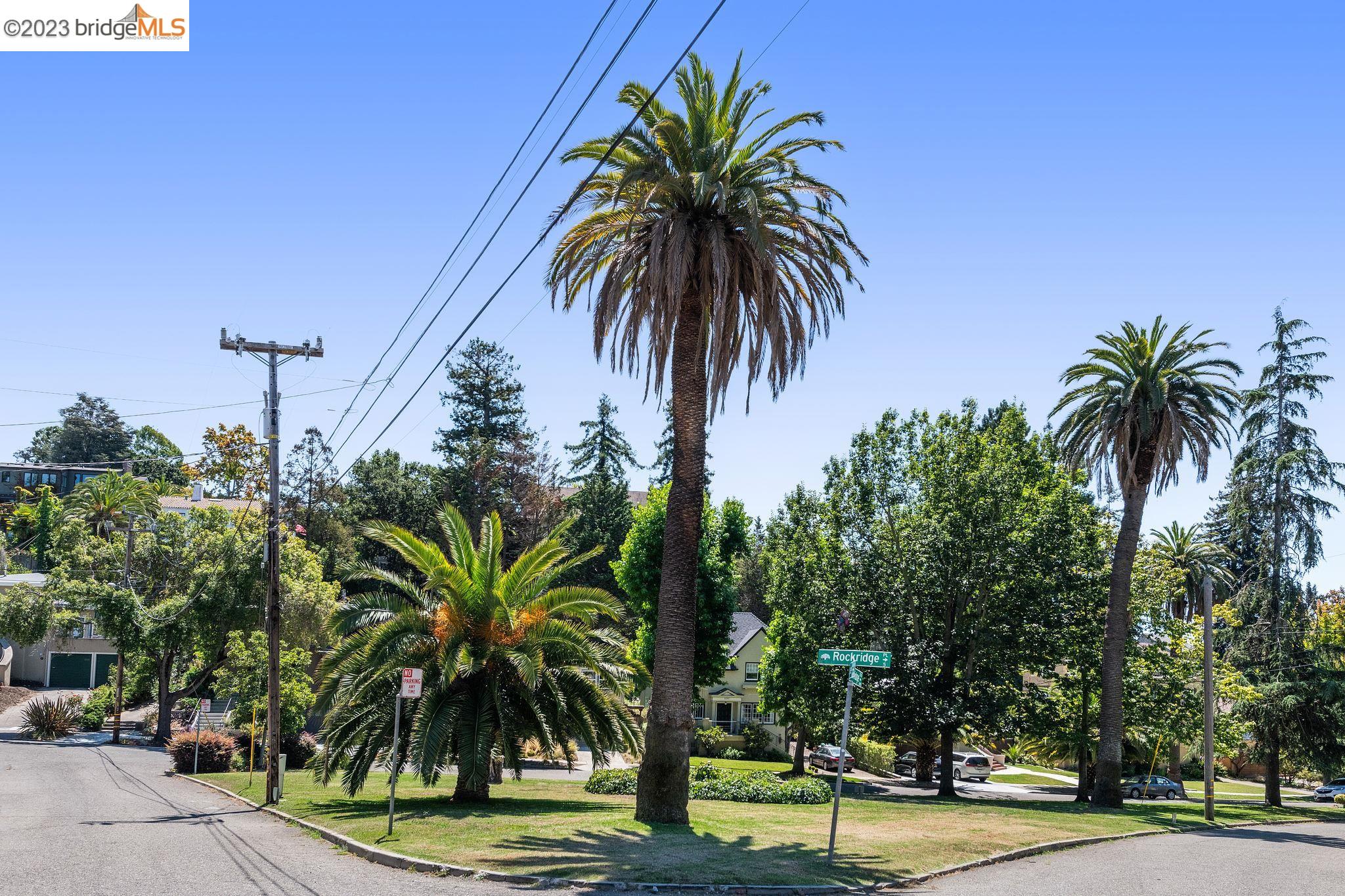 6115 N. Rockridge Blvd.