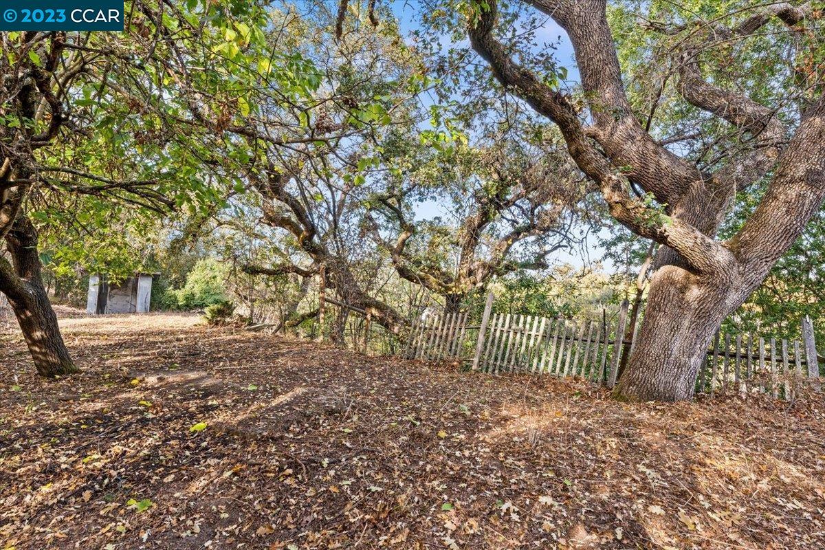 3339 Oak Court, Lafayette 94549