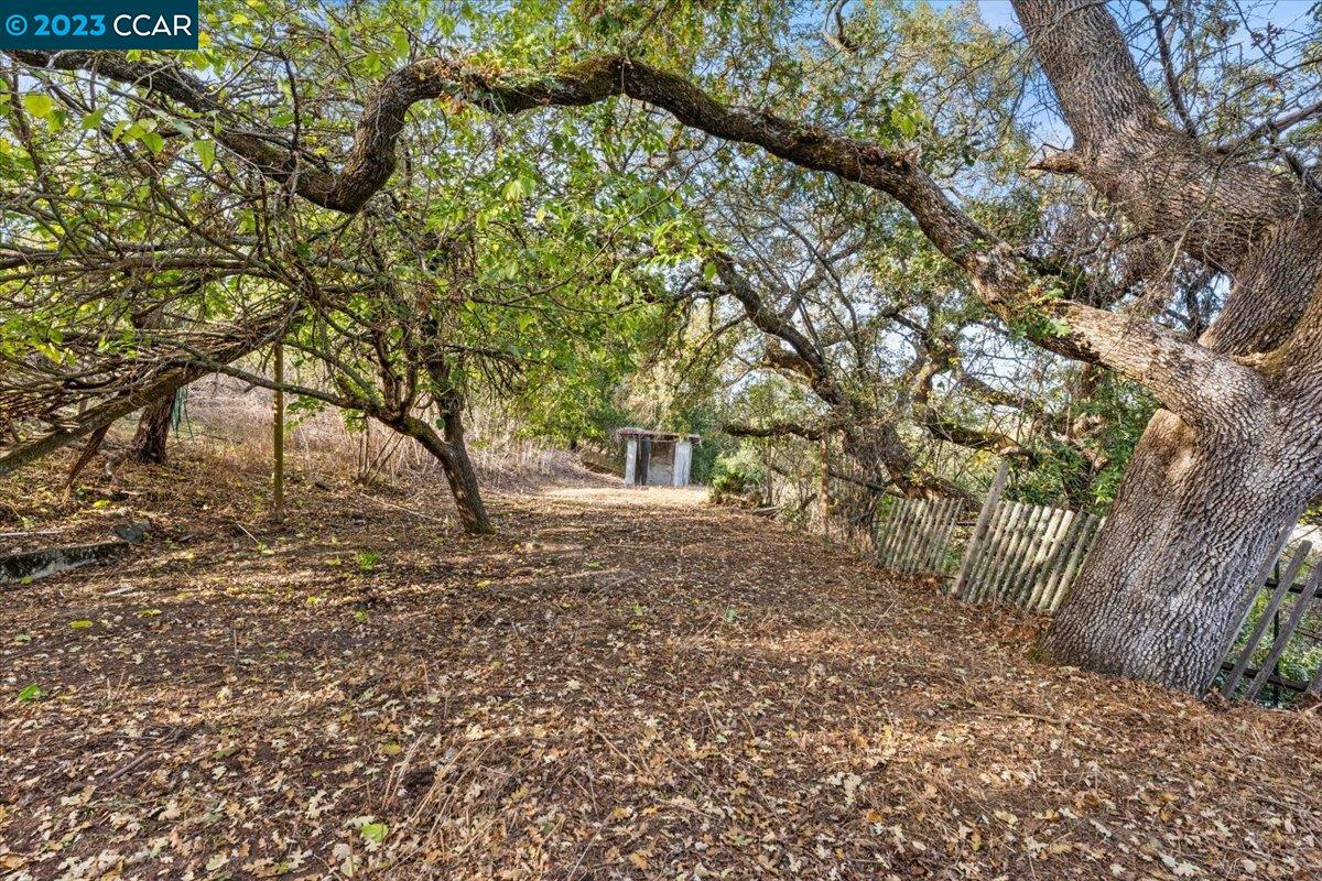 3339 Oak Court, Lafayette 94549