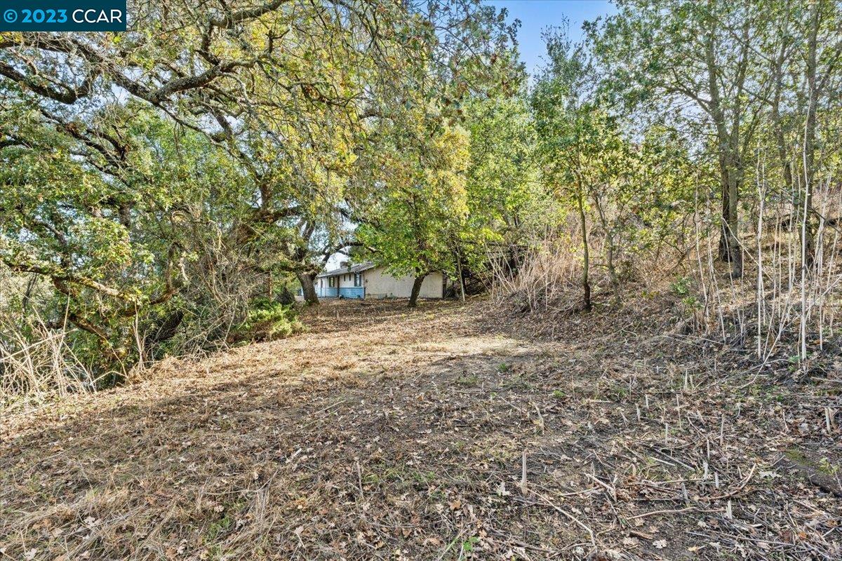 3339 Oak Court, Lafayette 94549