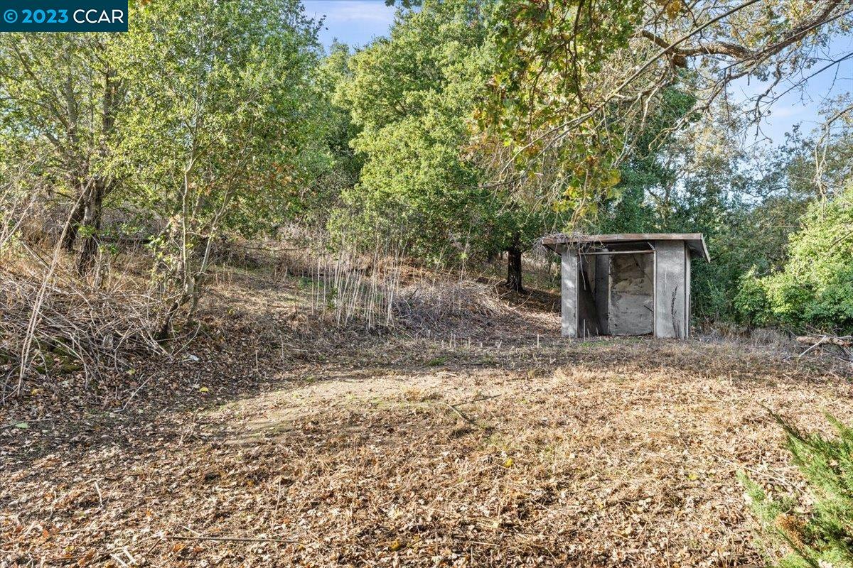 3339 Oak Court, Lafayette 94549