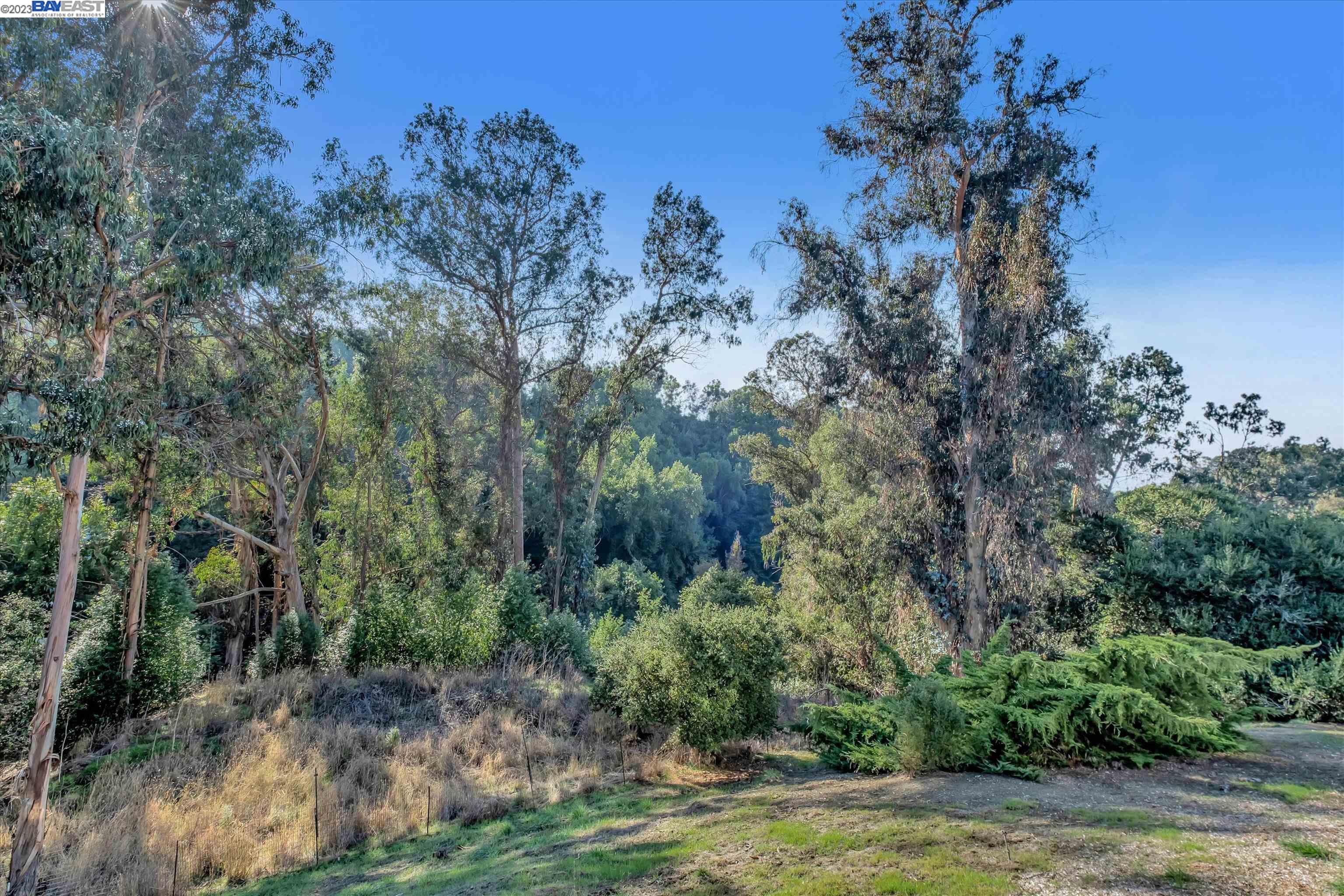 1887 Chantilly Ln, Hayward