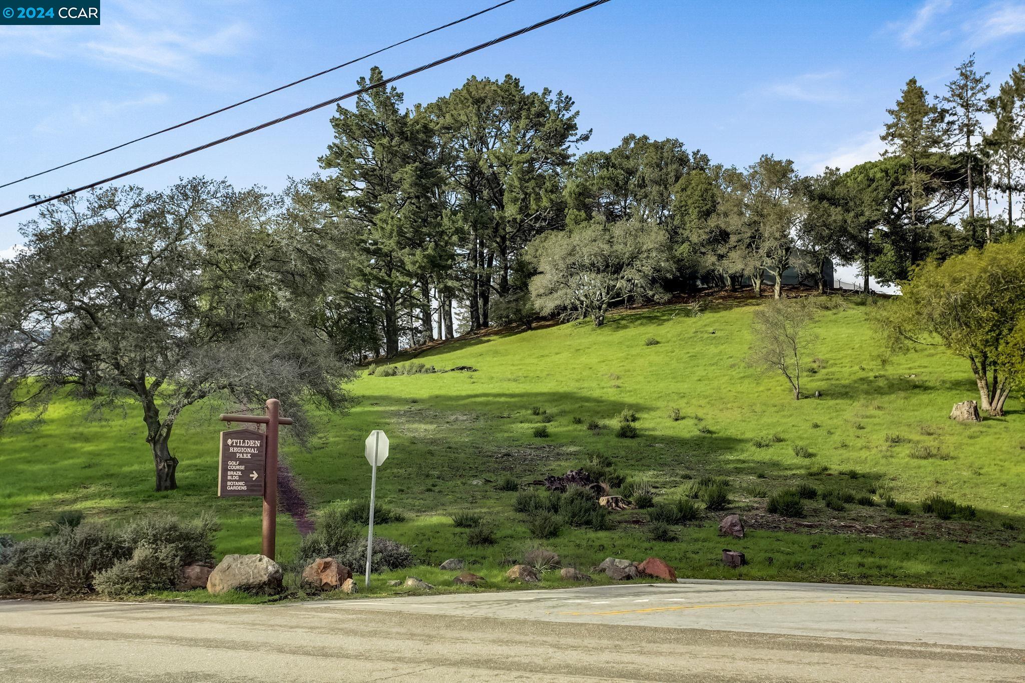 1430 Grizzly Peak Blvd.