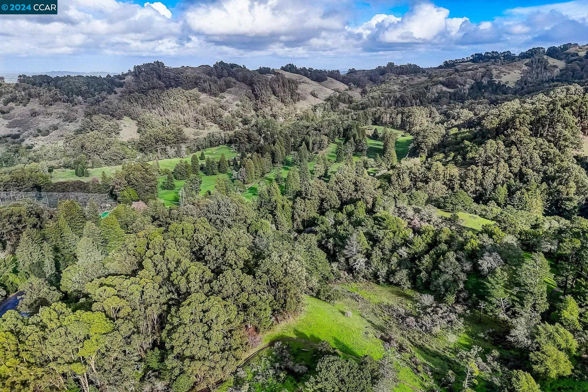 1430 Grizzly Peak Blvd.