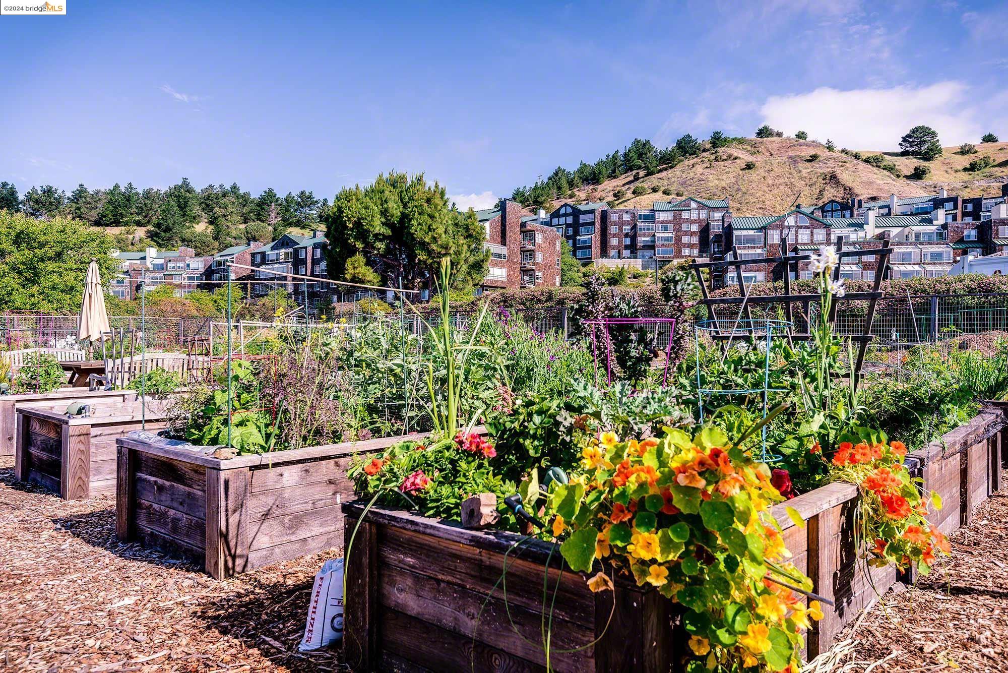 1201 Brickyard Way # 101