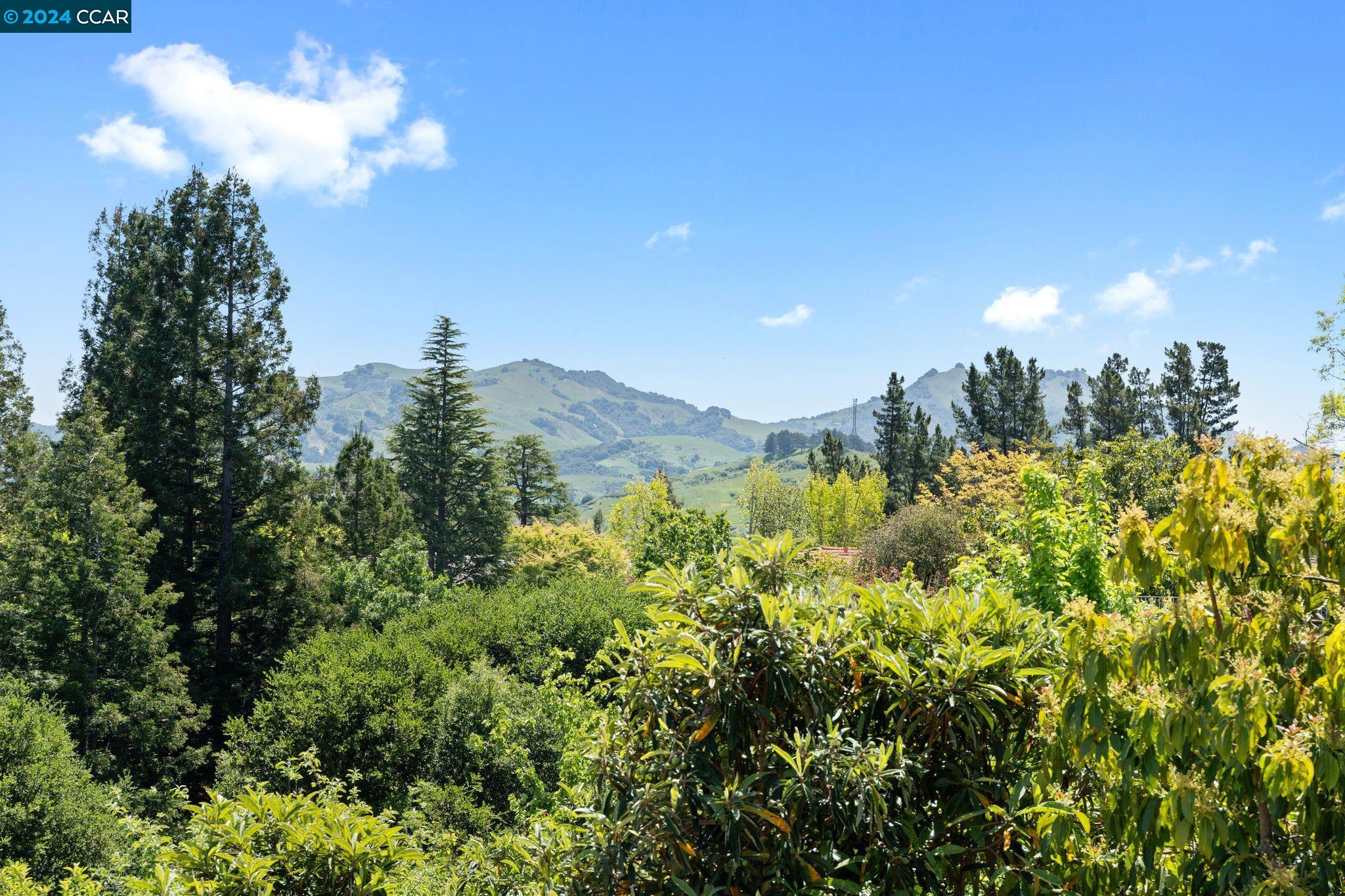 251 Calle La Montana