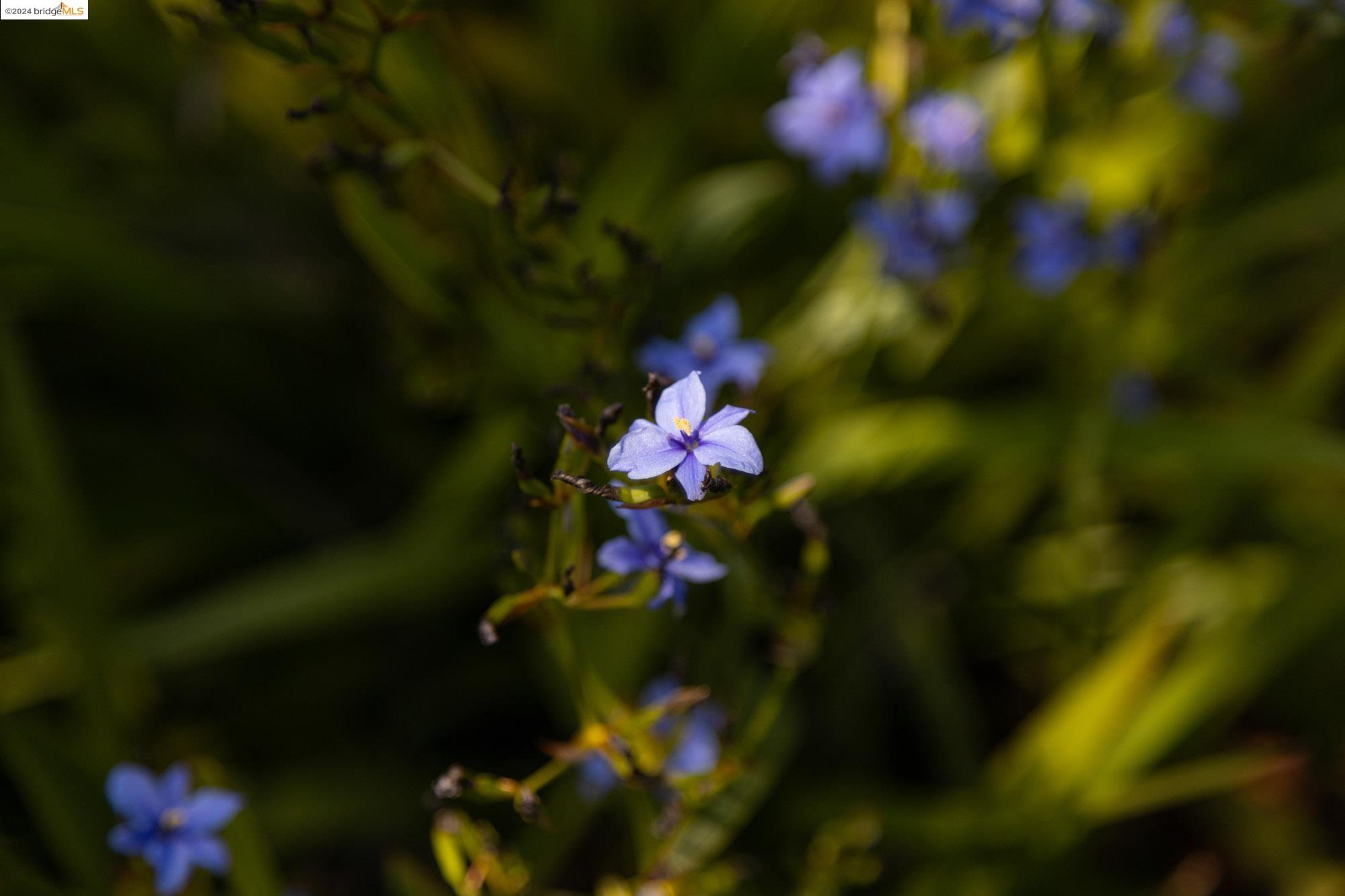 218 Brush Street # C