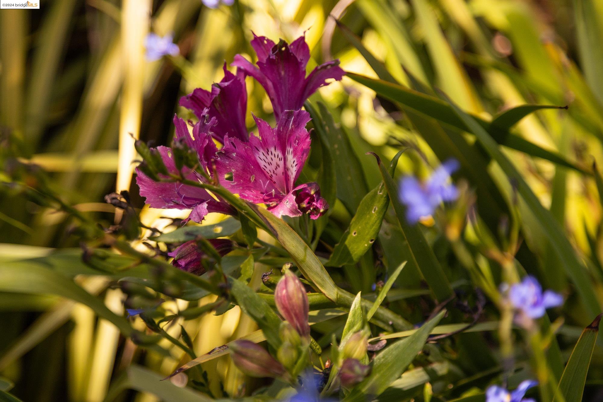 218 Brush Street # C