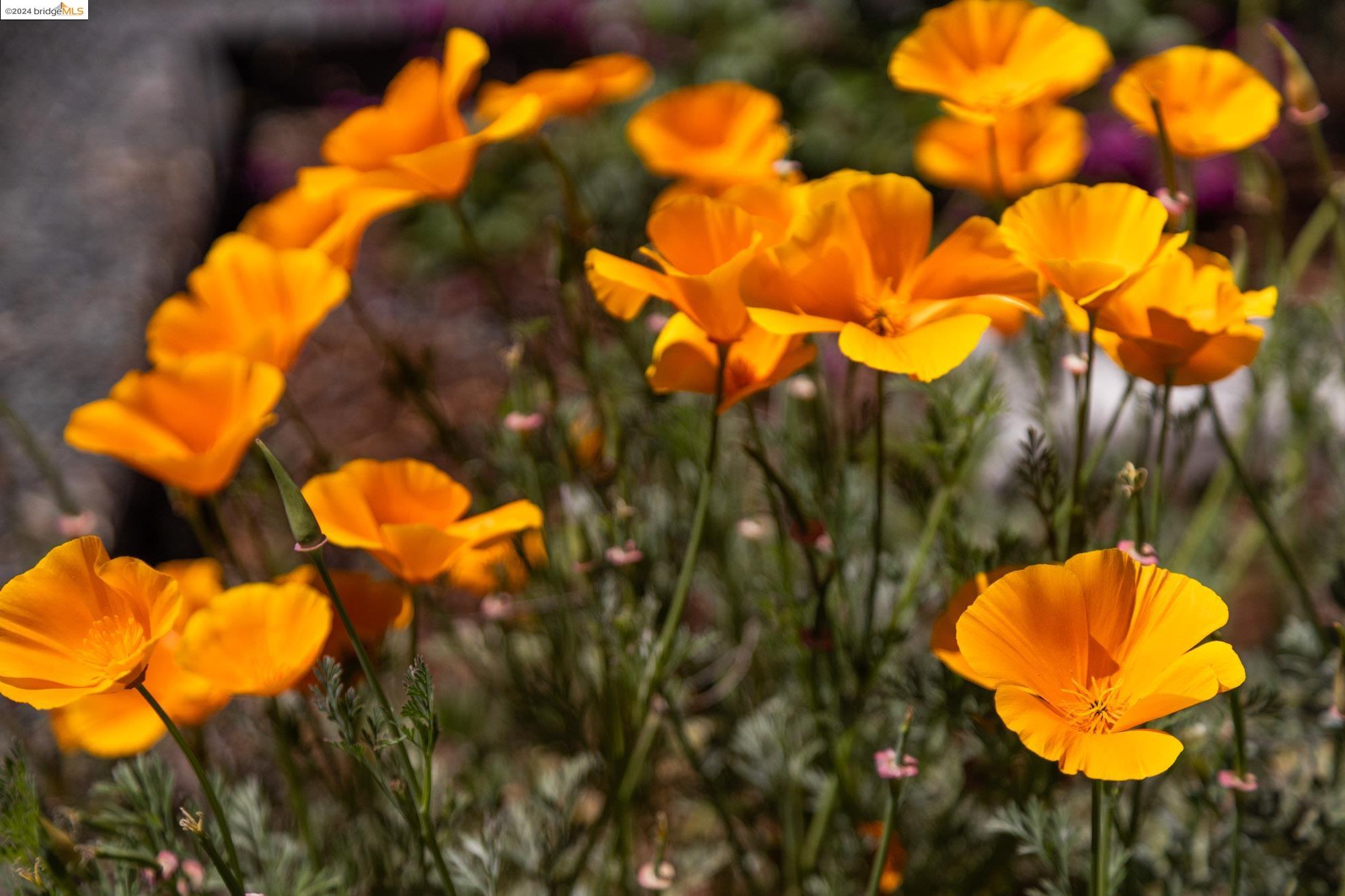 218 Brush Street # C