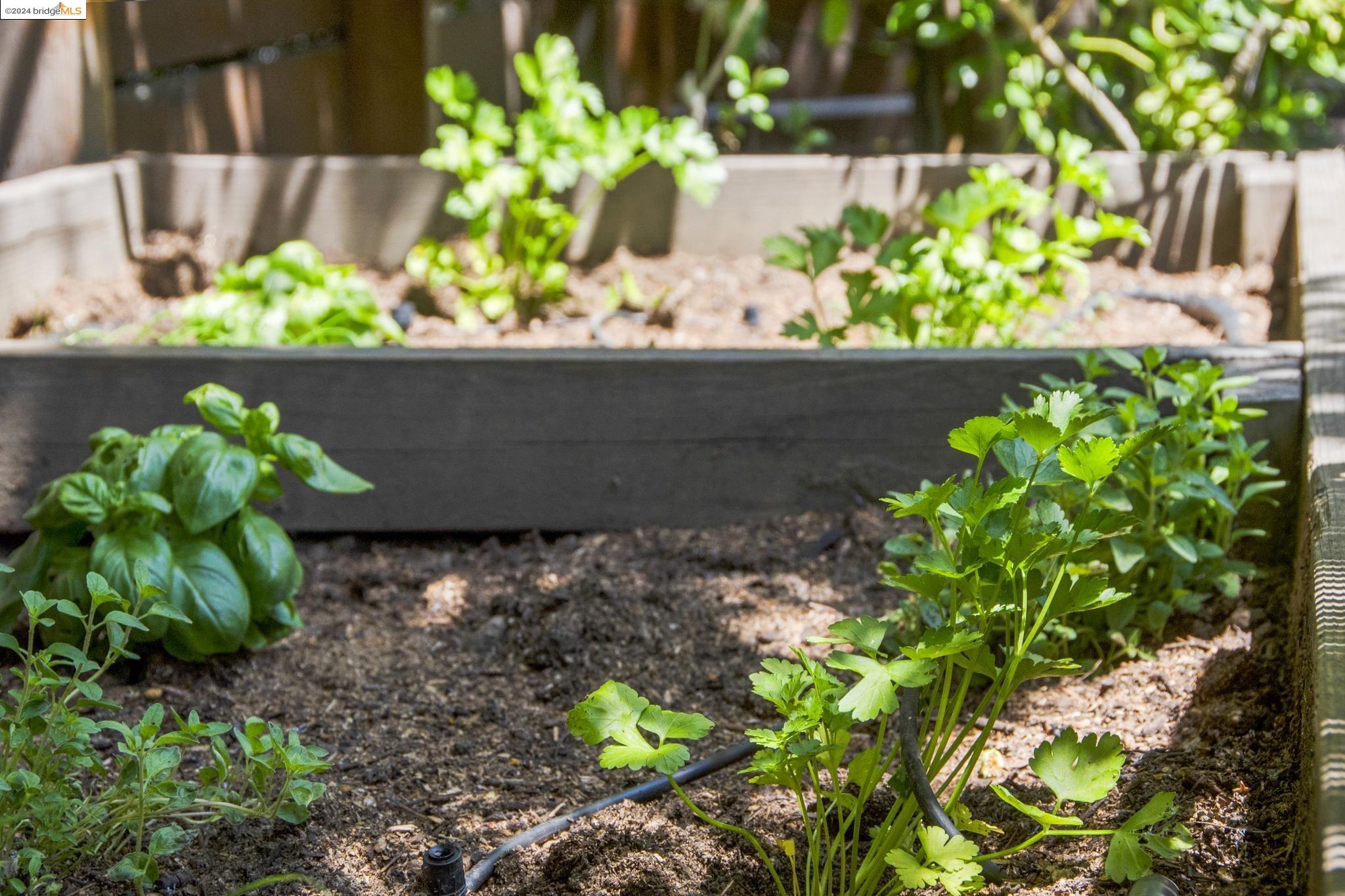 1450 Trestle Glen Rd