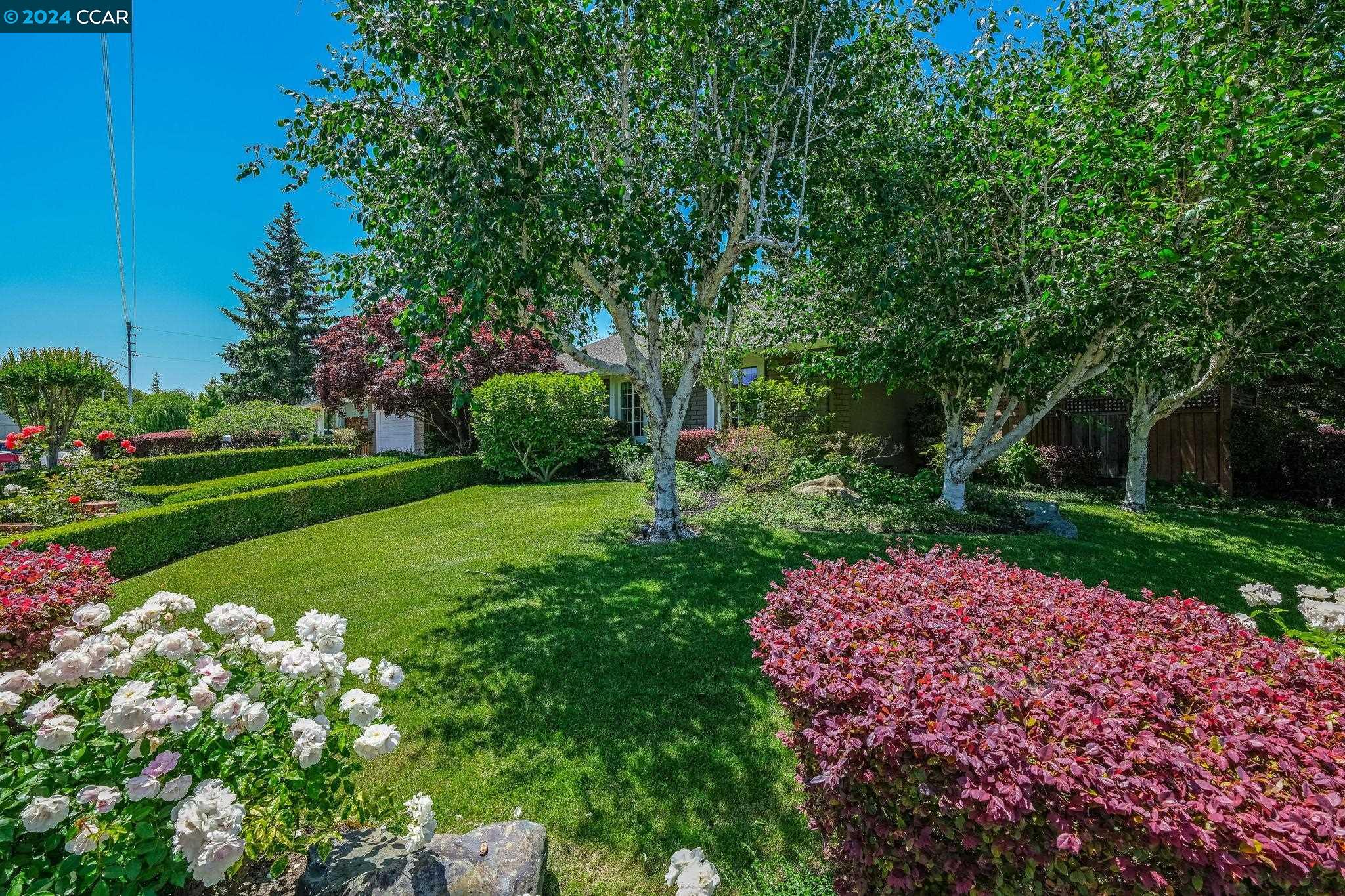 1431 Harlan Dr