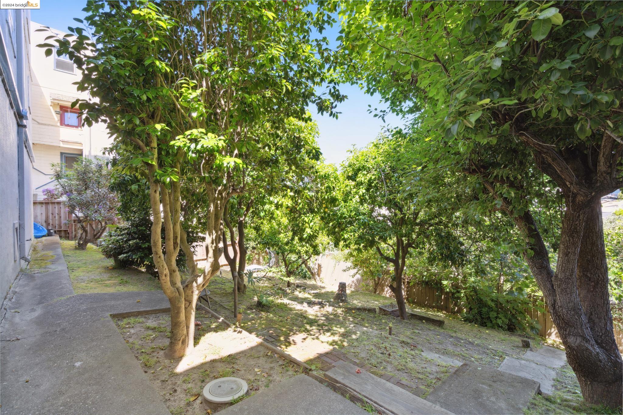 2417 Ivy Dr