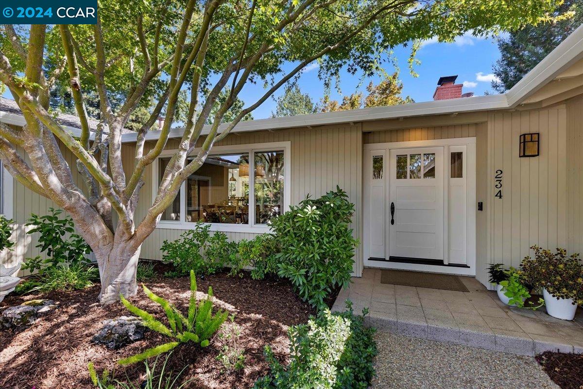 234 Vallecito Ct