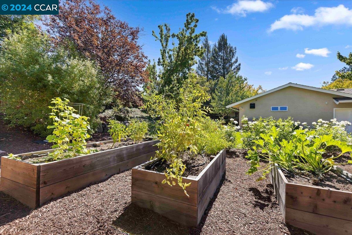 234 Vallecito Ct