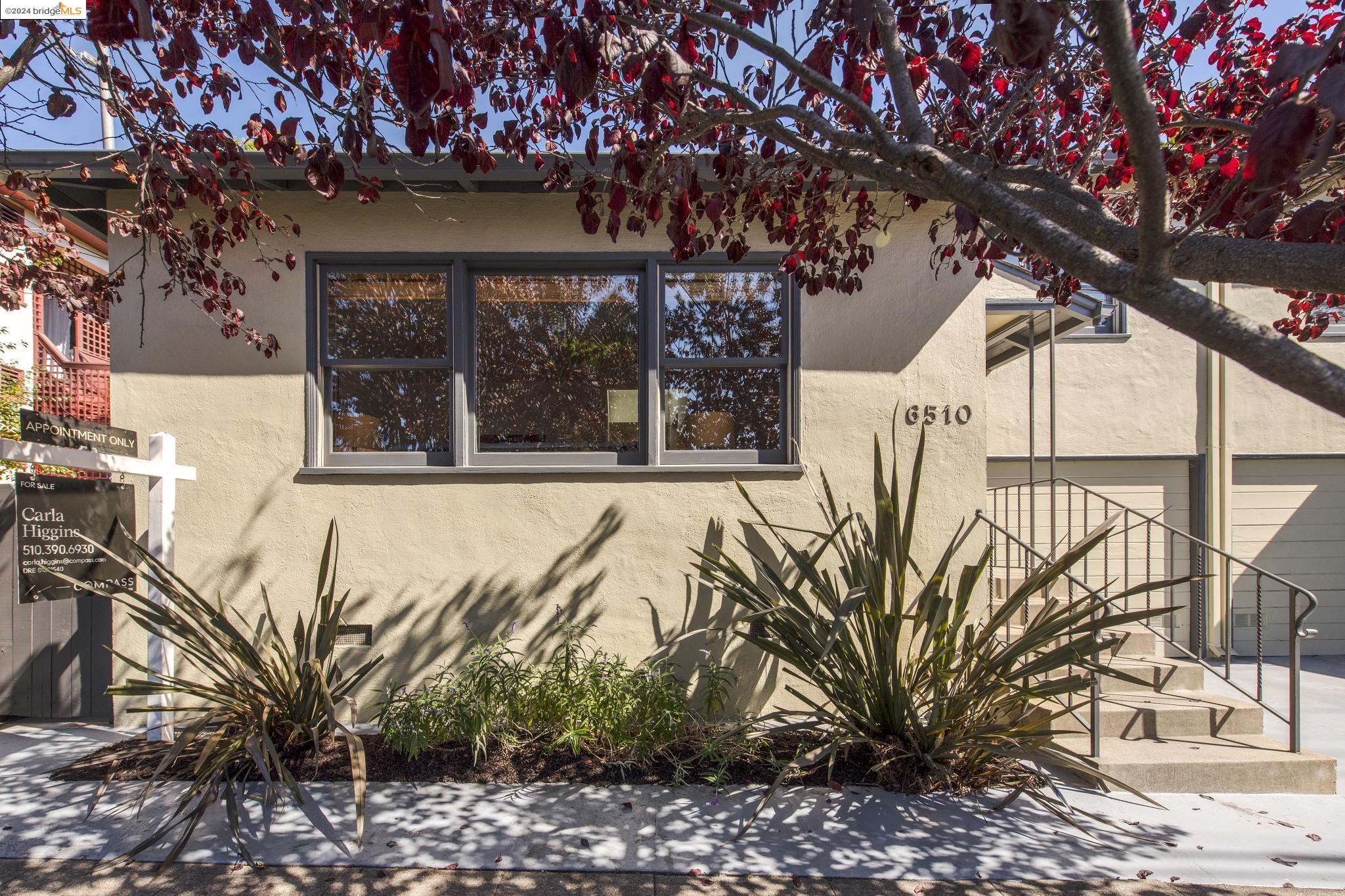 6510 Shattuck Ave, Oakland