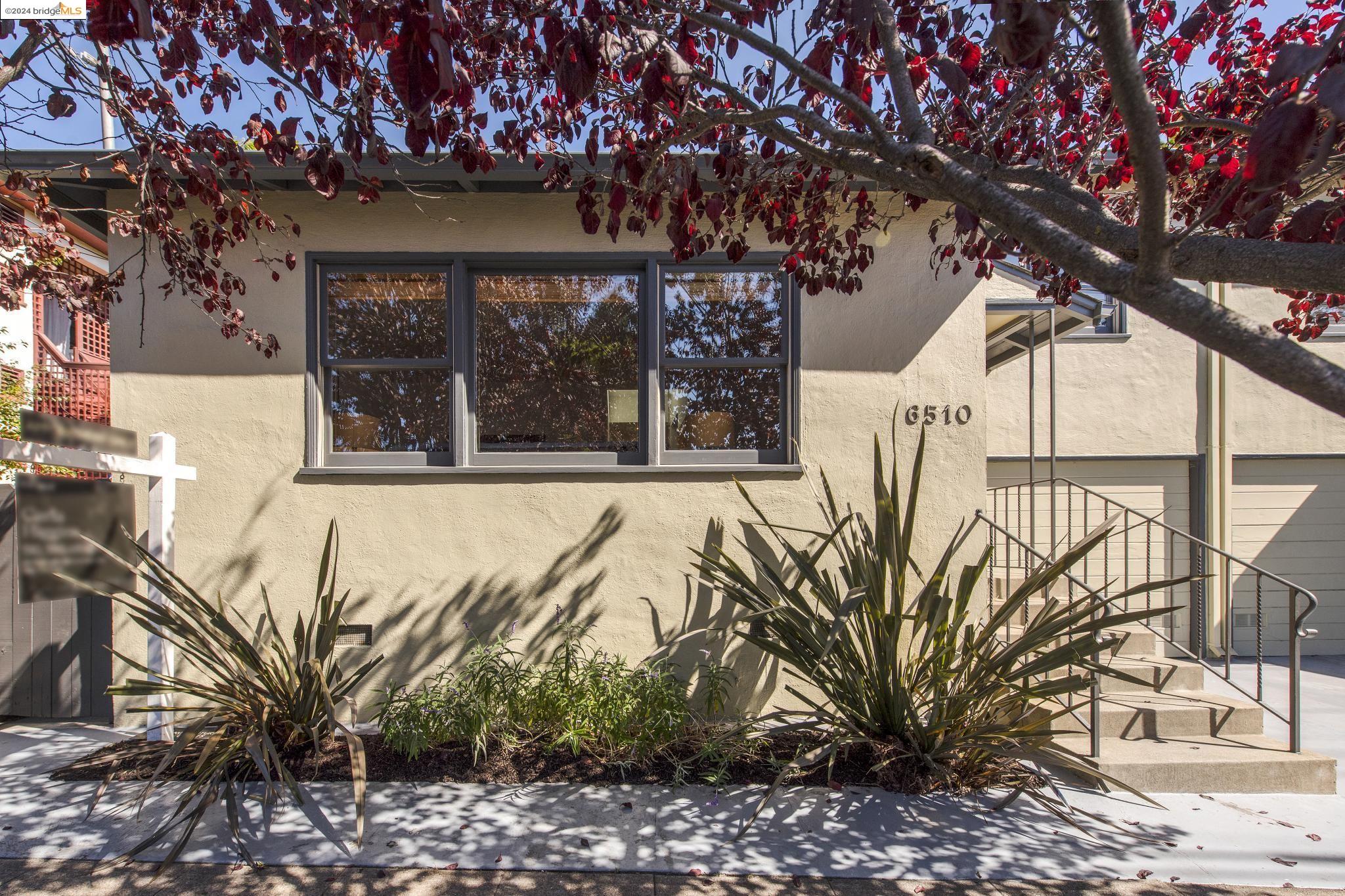 6510 Shattuck Ave, Oakland
