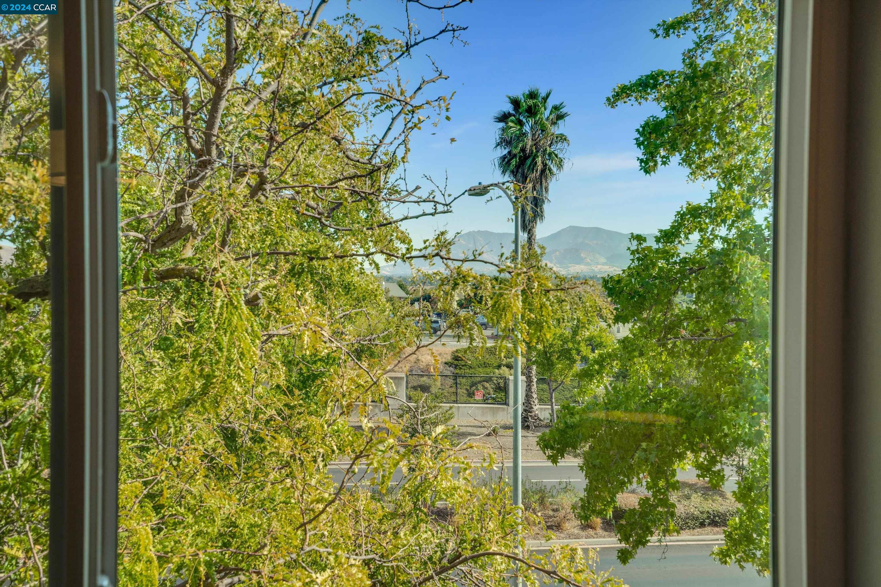 3651 Sun View Court