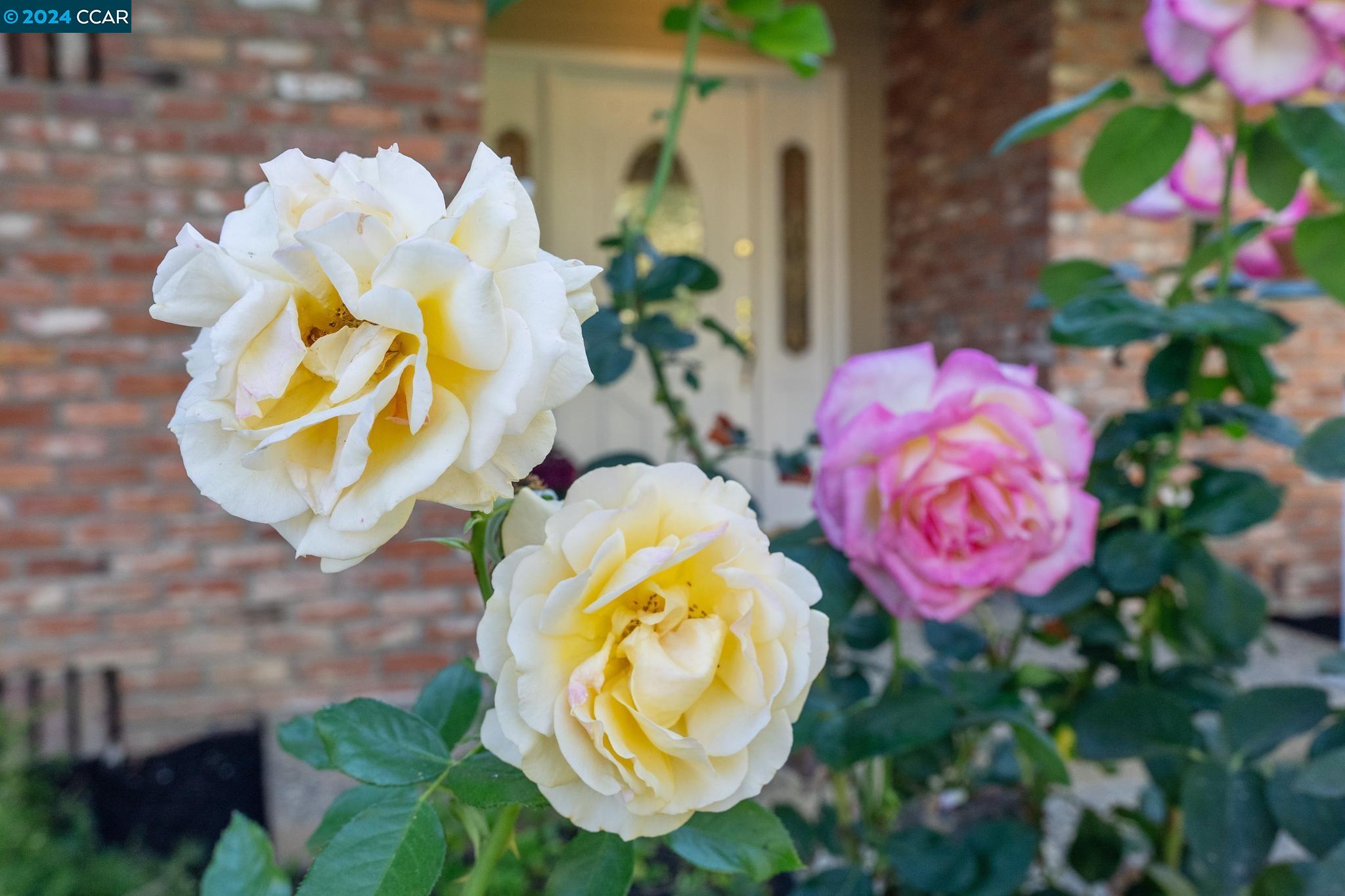 3122 Sugarberry Court