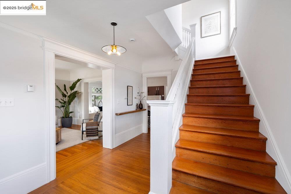 353 Lester Ave