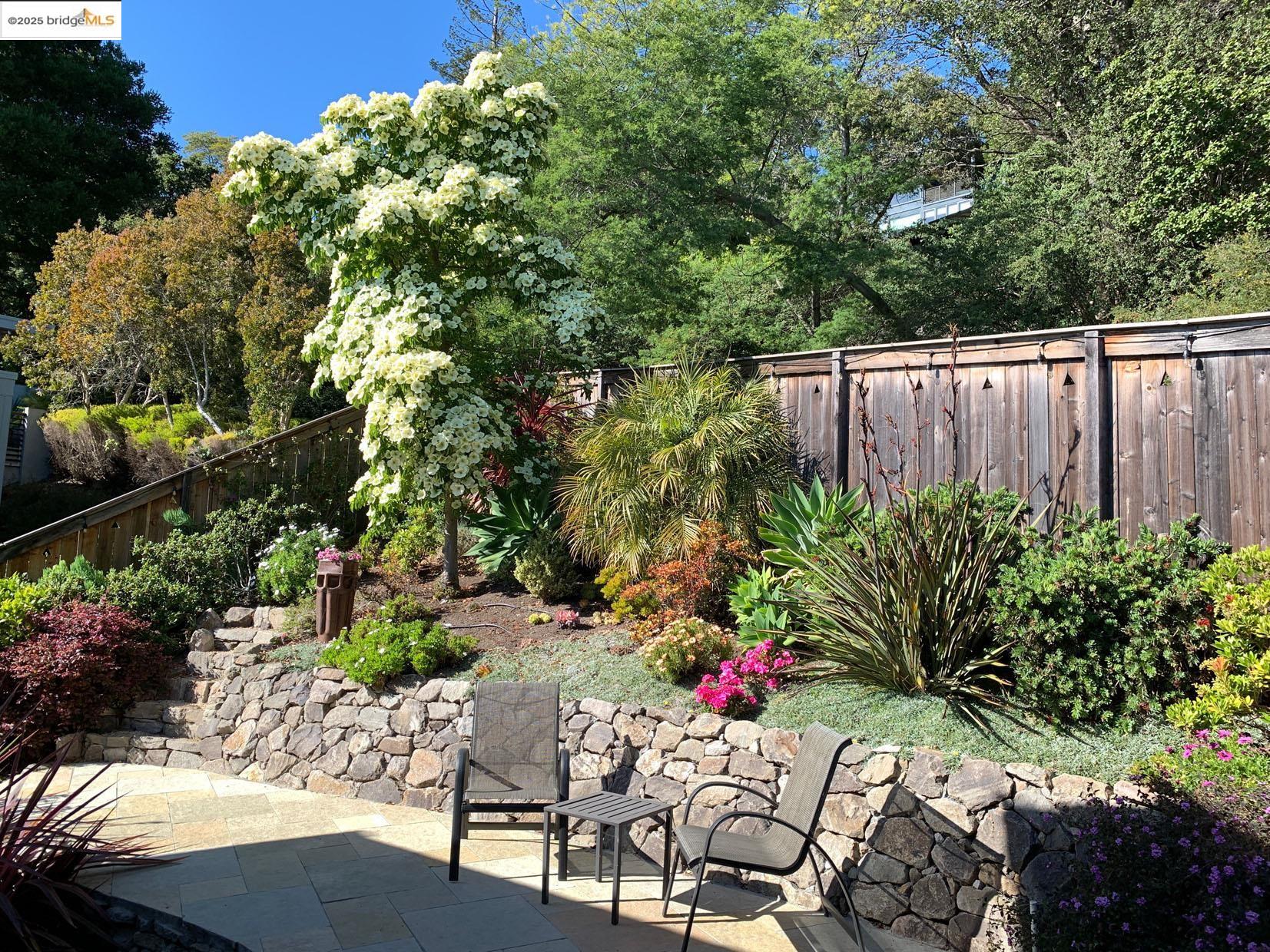 2861 Buena Vista Way