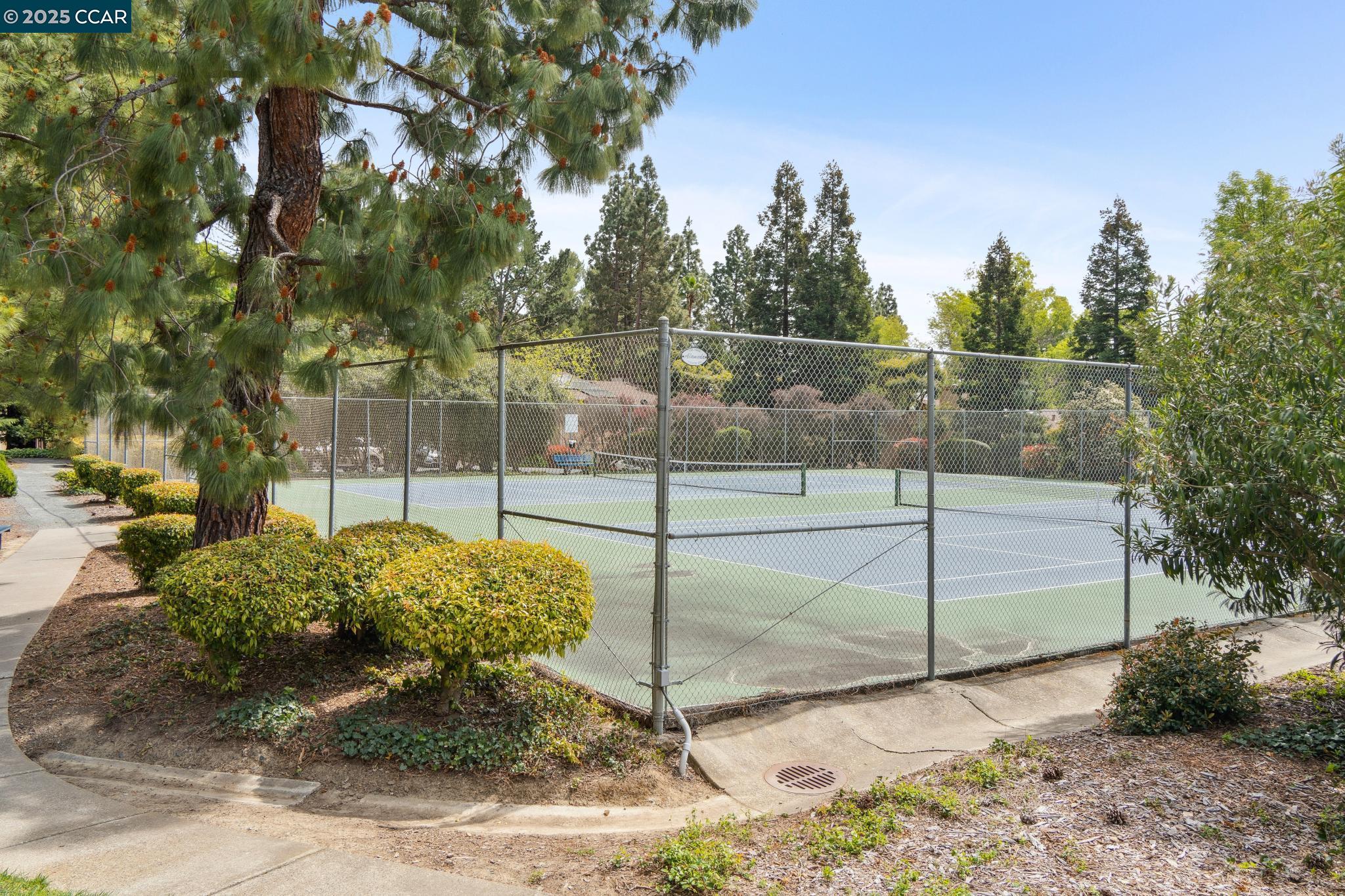 2480 Heatherleaf Ln.