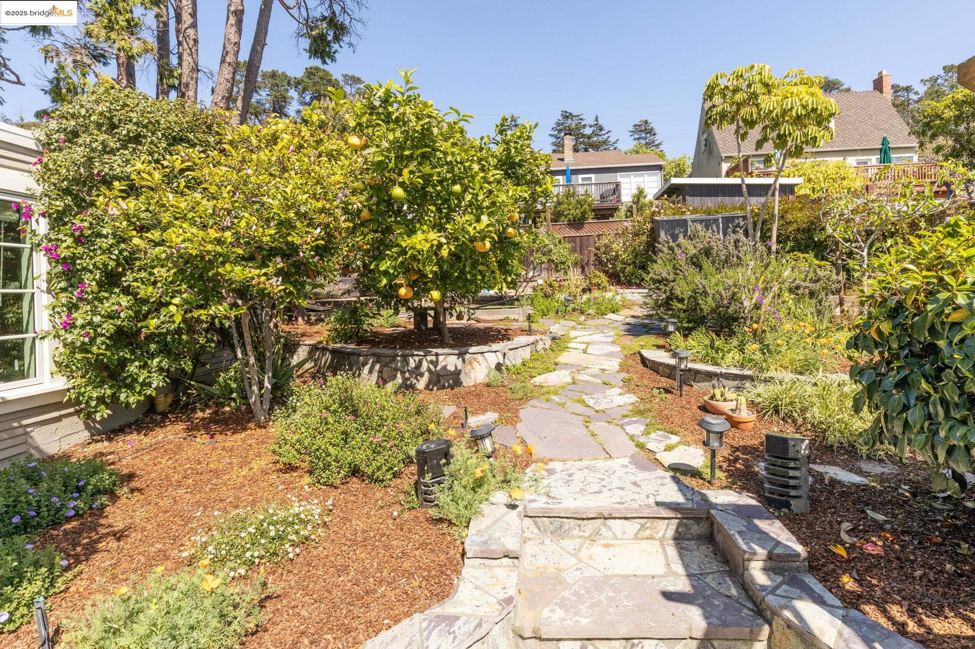 267 Colusa Ave