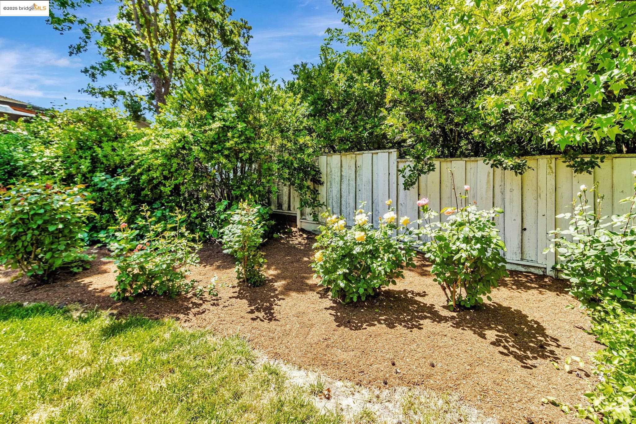 545 Silverado Dr