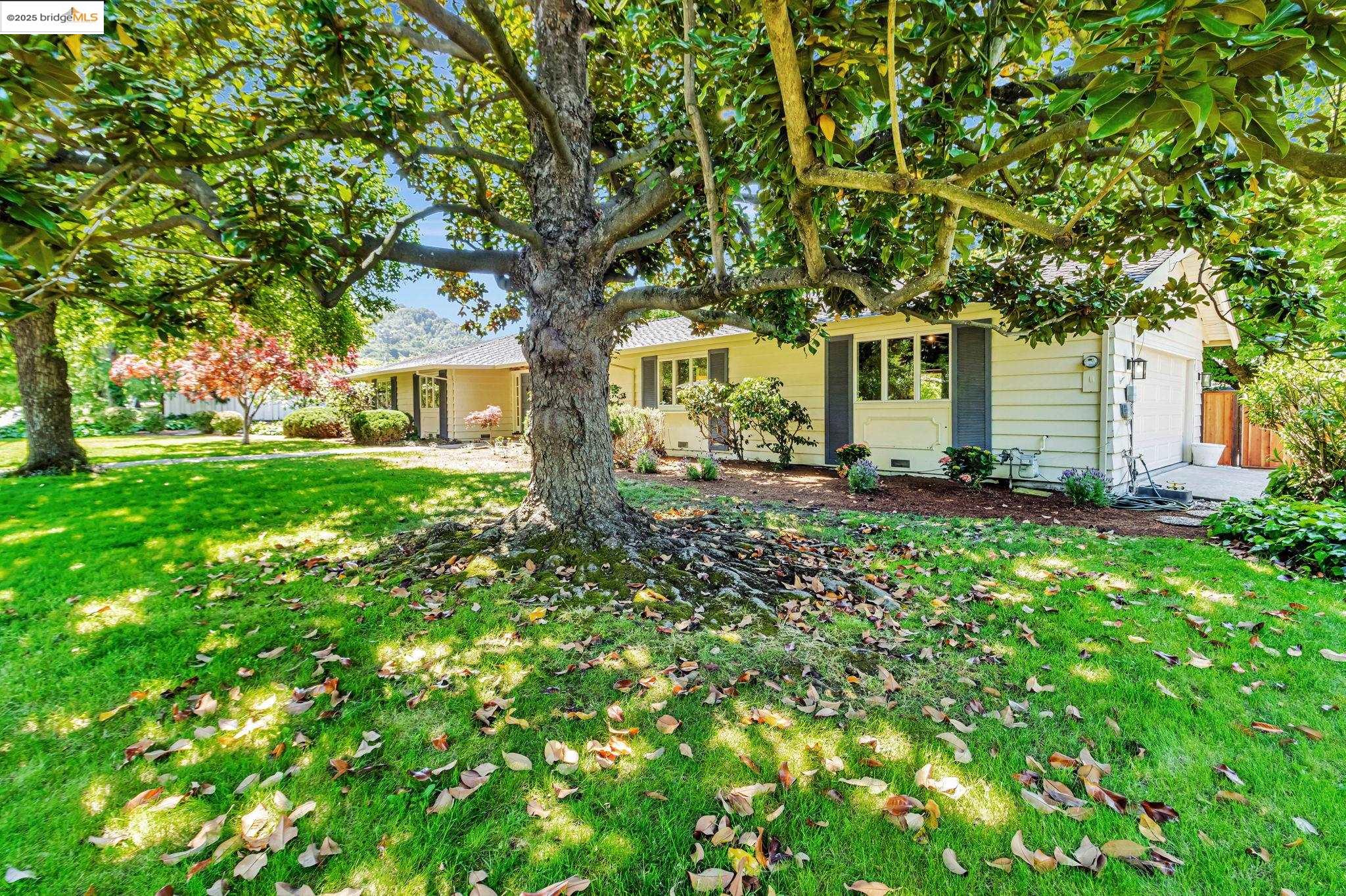 545 Silverado Dr