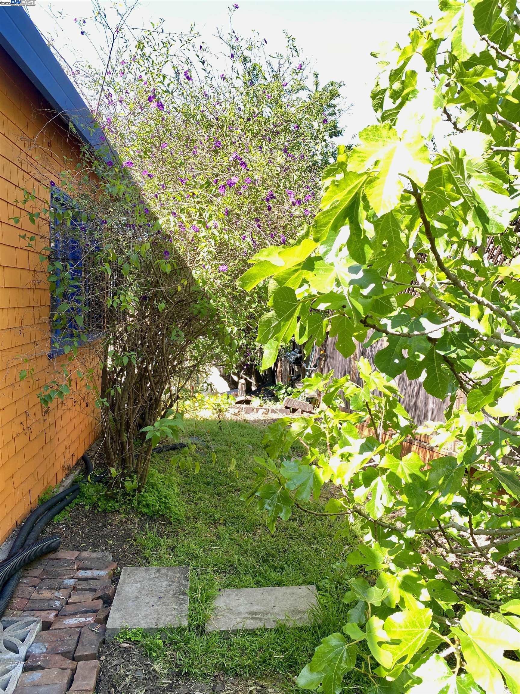 227 Orange Street