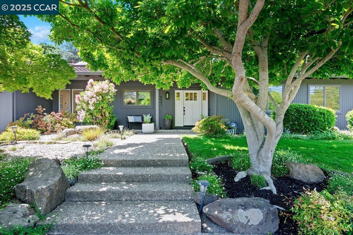 539 Silverado Dr