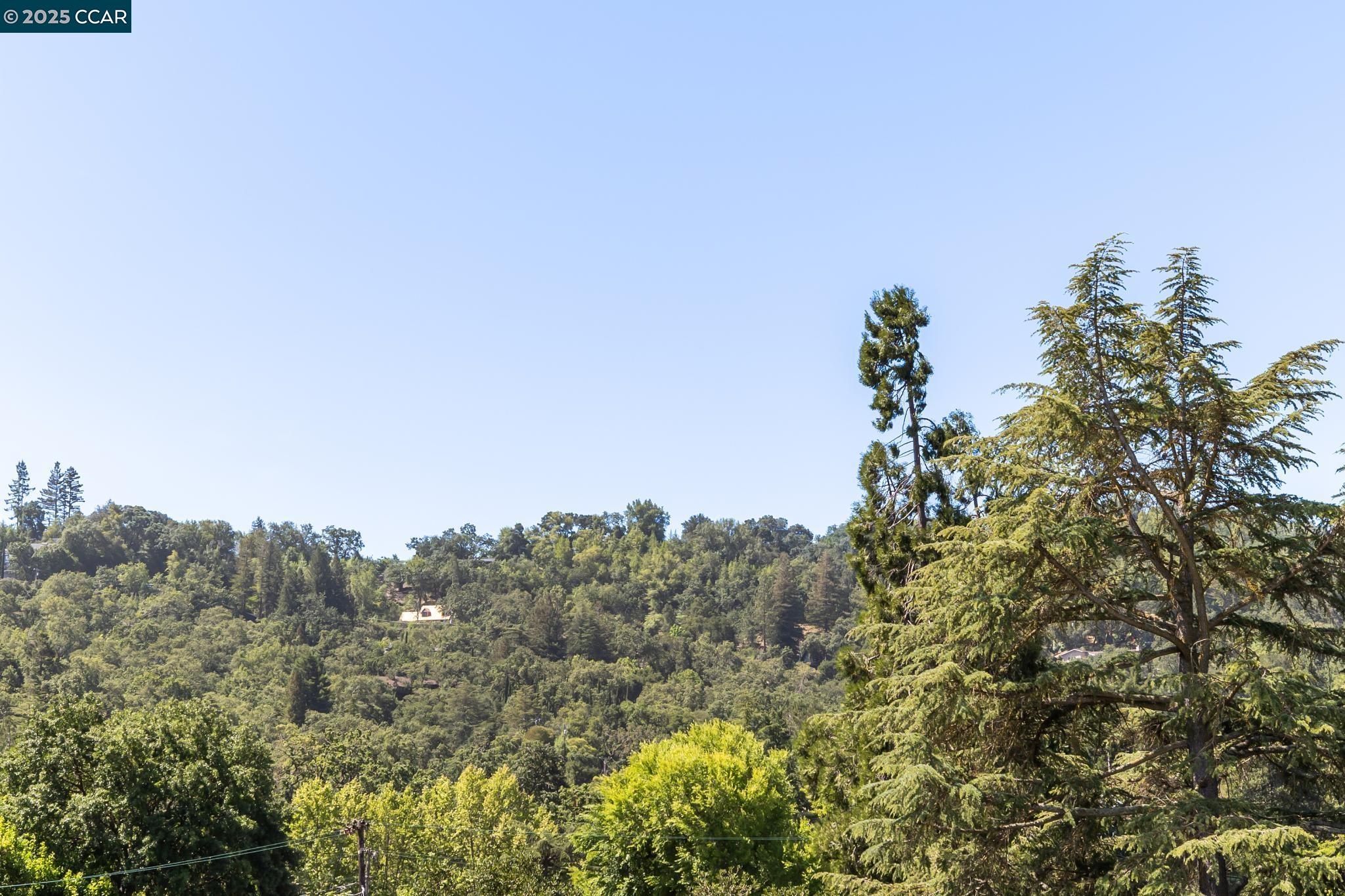 962 Mountain View Dr