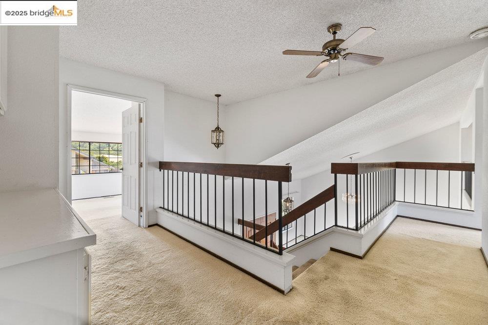 3649 Black Feather Dr