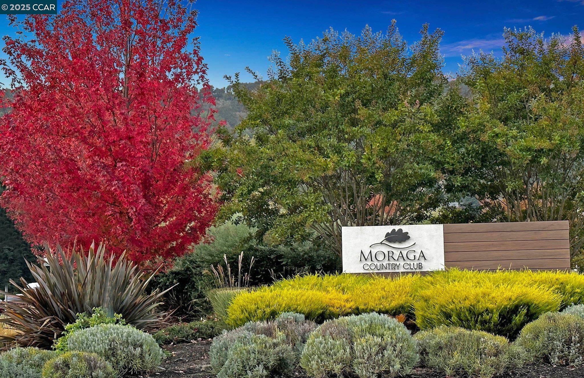 20 Tamarisk